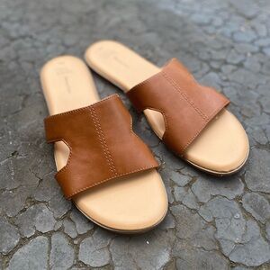 Camel Slides